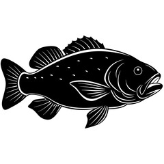 illustration of a fish