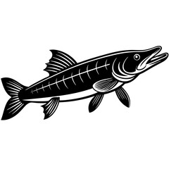 illustration of a fish