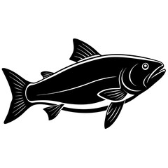 fish isolated on white