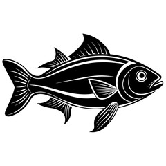 fish isolated on white