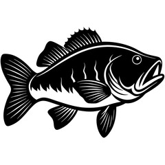 illustration of a fish