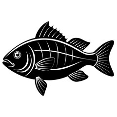 fish isolated on white