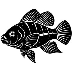 black and white fish