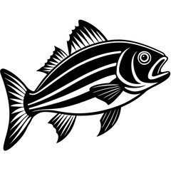 illustration of a fish