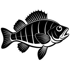 black and white fish