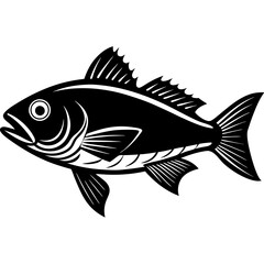 illustration of a fish