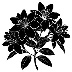 black and white flower