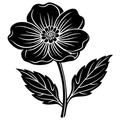 black and white flowers