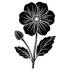 black and white flower