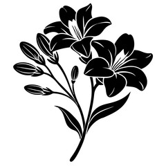 black and white flowers