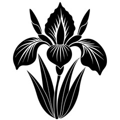 black and white flower