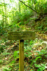 Racoon Branch to Dickies Knoll Hike