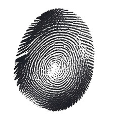 Close-up of a black and white fingerprint pattern, showcasing unique loops and ridges on a plain white background.
