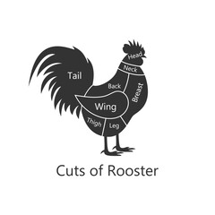 Rooster, Chicken butchery diagram. Cuts of Rooster. Perfect for restaurant menus and educational materials. Vector Illustration.