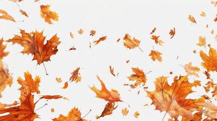 A bunch of leaves blowing in the air