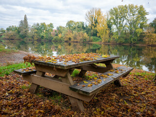 paysage d'automne au bord de l'eau