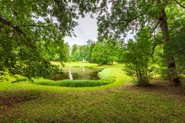 Fototapeta premium A lush green park with a pond and trees