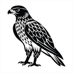 Fototapeta premium Hawk silhouette vector