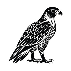 Fototapeta premium Hawk silhouette vector