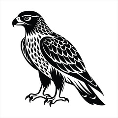 Hawk silhouette vector