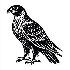 Obraz premium Hawk silhouette vector