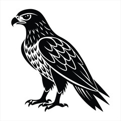 Hawk silhouette vector