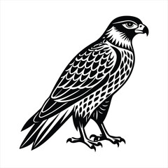 Fototapeta premium Hawk silhouette vector