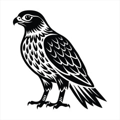 Hawk silhouette vector