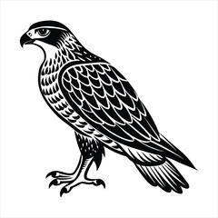 Hawk silhouette vector