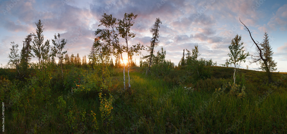 Poster a beautiful landscape with a large field of trees and a bright sun setting in the background. the sk