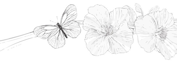 Fototapeta premium A butterfly is resting on a flower