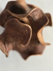 Soy sauce poured on a white sheet of paper