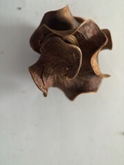 Soy sauce poured on a white sheet of paper