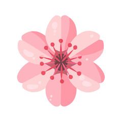 Fototapeta premium A close up of a pink flower with a white background