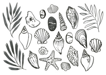 Hand drawn sea shells with sea stones, graphic elements for design, ink hand drawn shells and stones elements for print, textile, packaging design, clothes prints, wrapping paper, textile, invitations