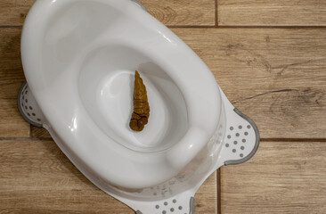 baby stool in white potty. poop, excrement, feces