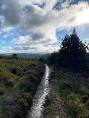 Natures footpath guiding us through the beauty of north wales