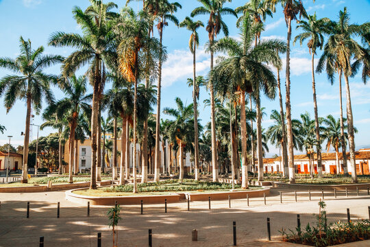 Bucaramanga, Santander, Parque Garcia Rovira, Historic place and trafitional center