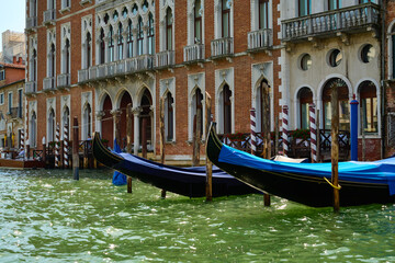 Fototapeta premium Venice and its gondolas, canals,birds,buildings,streets