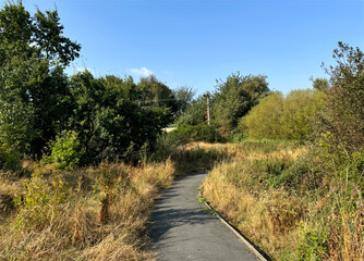 Nailor Rough conservation site features a narrow path that meanders through a lush and slightly untamed overgrown area. Tall grasses and dense foliage line the path's edges in Bradford, UK.