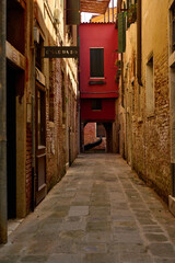 Venice and its gondolas, canals,birds,buildings,streets