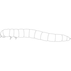Mealworms, Tenebrio molitor realistic contour lines, opacus outline lines drawn