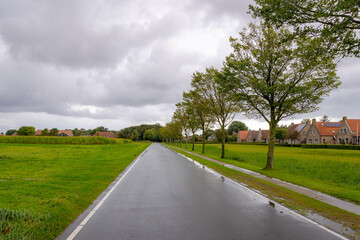 Countryside road with farmland and trees in small town village, Schiermonnikoog is municipality and...