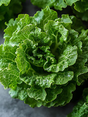 Fresh and vibrant green lettuce with crisp leaves, perfect for salads and healthy recipes.