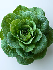 Obraz premium Fresh green lettuce with vibrant leaves, perfect for salads and healthy dishes, showcasing its natural beauty and crisp texture.