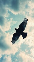 Obraz premium A Bird in Flight Against a Backdrop of Wispy Clouds During the Golden Hour