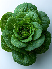 Fototapeta premium Vibrant green cabbage with layered leaves, showcasing its fresh and healthy appeal. Perfect for culinary and gardening themes.