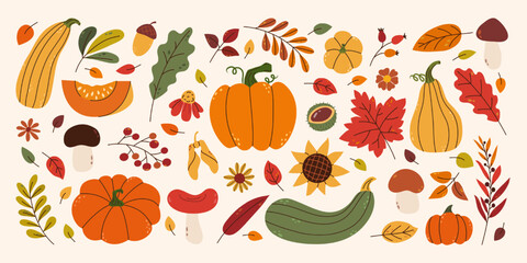 Autumnal vector background. Simple hand drawn design elements. Multicolored various leaves, pumpkins, mushrooms, nuts and flowers. Template for decoration card, poster, banner, pattern.