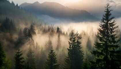Enchanted Morning Forest Scene - dense, mist-covered forest at the base of towering mountains, with rays of soft sunlight breaking through the thick fog. Graphic art illustration