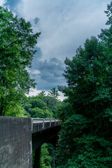 Misty Trail Overlook on Blue Ridge Parkway